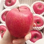 めちゃくちゃ蜜たっぷりの甘いりんご🍎﻿﻿﻿﻿青森県産りんご 無農薬サンふじ　﻿3kg（北上農園）特別栽培﻿﻿届きました💕💕﻿﻿﻿りんご本来の素敵な輝き❤️﻿…のInstagram画像