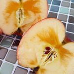 おいしいリンゴ🍎🍎🍎蜜すごくてビックリ(*゜Q゜*)！！青森県五戸町『北上農園』北上俊博さんがつくってるリンゴ♪自然の力を引き出しながら作物を育てるそうせい栽培で作れてるリンゴは農薬、…のInstagram画像