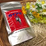 富士産業株式会社さまのカイアポAFをお試しさせていただいています🤗こちらは南米原産のカイアポイモから作られているサプリメントです🍀カイアポイモは白甘藷の一種で、ビタミン・ミネラル・食物…のInstagram画像