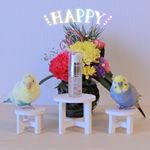 ルル＆メル:『生の椿油』で、ママのお肌と髪がしっとりしてキレイになるぞ！🐥😊🐥RURU&MERU:Con のInstagram画像