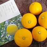 こんにちは♡♡ @monipla_official 様に頂いた『ふるさと21のレモンライム』♪ 神奈川県 自然園いしわた農場さんの石綿さん(^^)（3枚目）日本で初めてキウイフルーツの無農薬・無肥…のInstagram画像