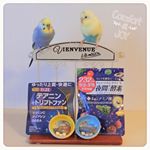 ルル&メル:『232夜間Diet酵素』でママはダイエットするんだって！🐥🐥😴🛌RURU&MERU: La mamma è a dieta con のInstagram画像