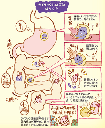 口コミ：フレージュ　スッキリラの画像（2枚目）