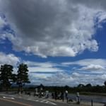 幸せになりたい好きな人と結婚したい#愛の木に願いを #メリーチョコレート #monipla #mary_fanのInstagram画像