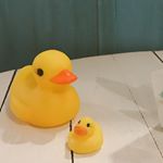 今年は引っ越しもあって不安だけど、２人で仲良く、一年を過ごせますように。#愛の木に願いを #メリーチョコレート #monipla #mary_fanのInstagram画像