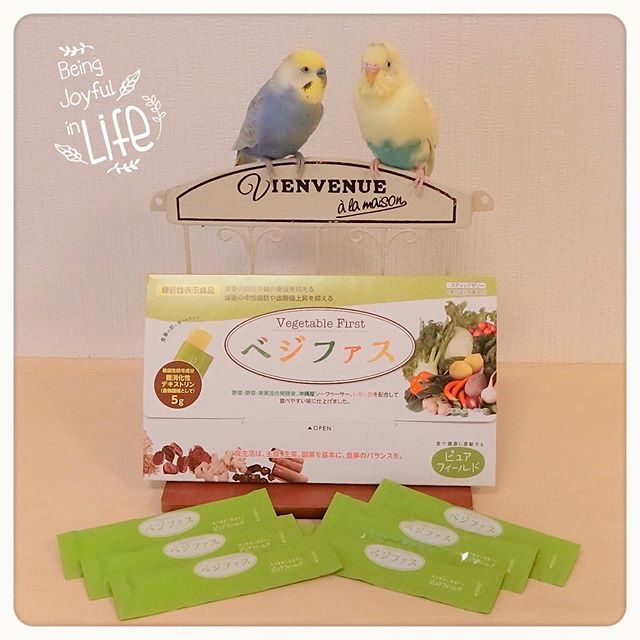 口コミ投稿：ルル&メル: 食事の前に『ベジファス』を食べて、健康でいよう！🐥🐥😉RURU&MERU: Mangia 