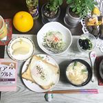 本日の朝ご飯は、エッグトーストです🐱🌈抹茶も点てたよ🍵酢に漬けた#食べる煮干しのマリネ とブロッコリースプラウトのサラダも美味しい😇ヨーグルトは、自家製の豆乳ヨーグルトです🎀まだ花…のInstagram画像