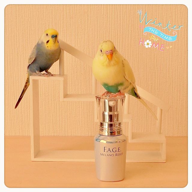 口コミ投稿：ルル&メル:『エファージュ　メラノリセット』で、ママのお肌がキレイになるぞ！🐥🐥😊✨M…