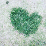 ・・#愛の木に願いを #メリーチョコレート #monipla #mary_fanのInstagram画像