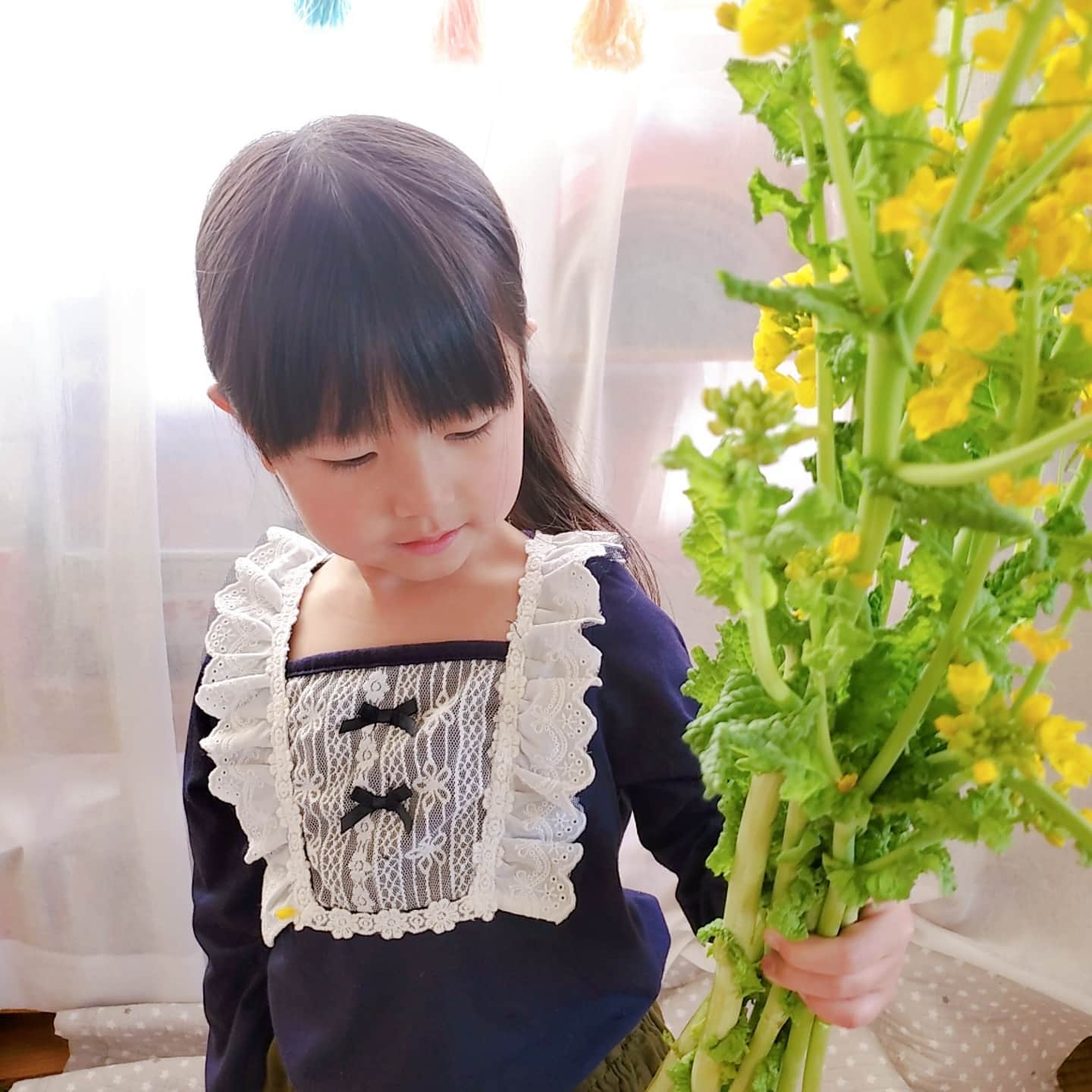 口コミ投稿：一昨日摘んできた菜の花の花束で一気に我が家が春めいています.娘の洋服も一枚でかわ…