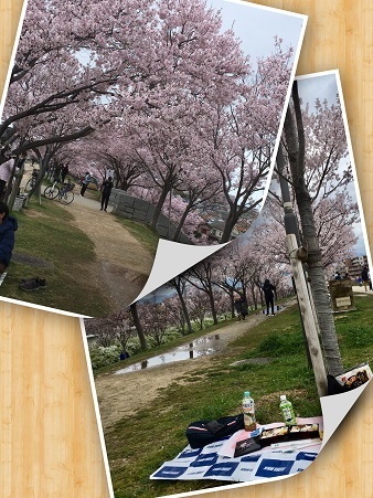 口コミ：お花見に持って行きたい”桜の花ごはん”の画像（6枚目）