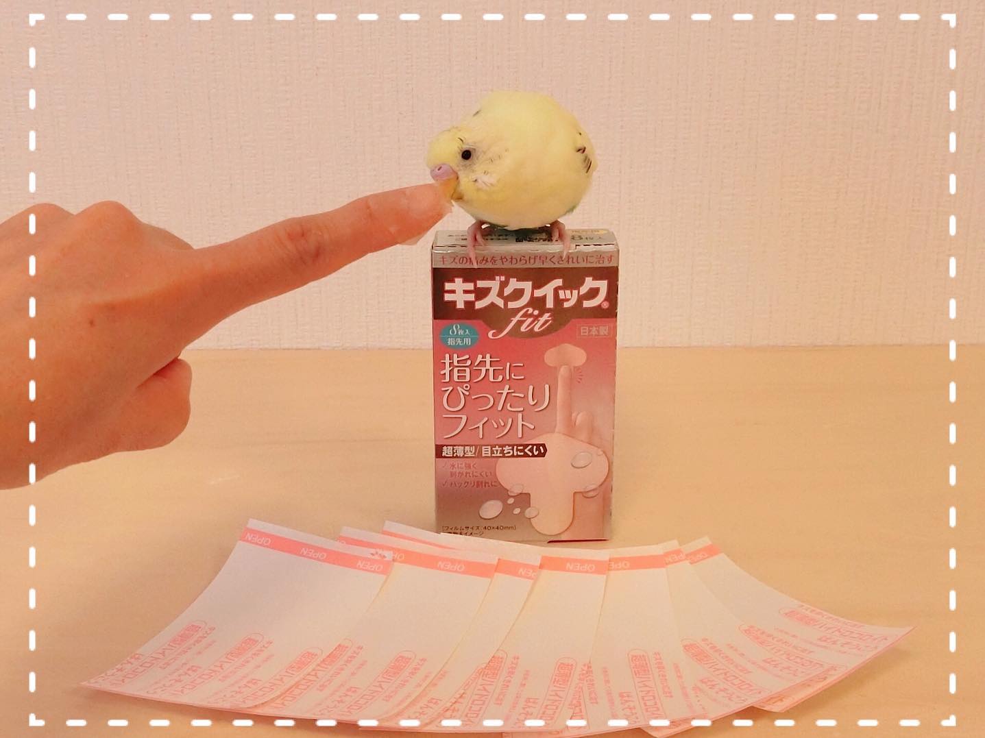 肌と一体化し目立ちにくい 傷が早く綺麗に治る超薄型ハイドロコロイド絆創膏