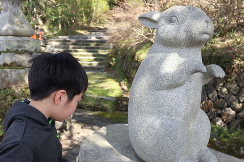 口コミ：亀岡③ 京都大河ドラマ館したあとは道の駅で野菜とプリンの画像（5枚目）