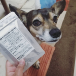 ..東栄新薬の【キングアガリクス１００ペット用】・内容量30粒入り　・価格6,600円（税込）.原材料　キングアガリクス100％で製品化！.飼い主も飲める品質をそのまま…のInstagram画像