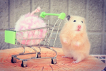 今日は #くるりんクリーン でお掃除するよ🐹水に濡らしてこするだけ。掴みやすい形になっていて細かいところも入りやすい。使い終わったら乾かすだけ。ステンレスやタイル・ホーローにも使えます。…のInstagram画像