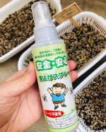 岡山市内はとてもあたたかいです。岡山市の会社、安心安全の無添加工房OKADAさんの天然ハーブの虫よけスプレーを使ってベランダへ。ガーデニング！と言っても芽がちょっと出てきたので他の種もまき…のInstagram画像