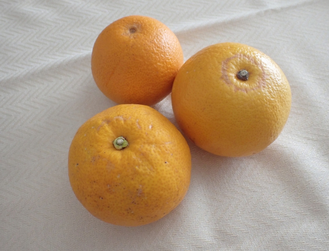 口コミ：甘くない柑橘、すっぱい柑橘、乾いた柑橘をオリゴのおかげでおいしく食す☆の画像（8枚目）