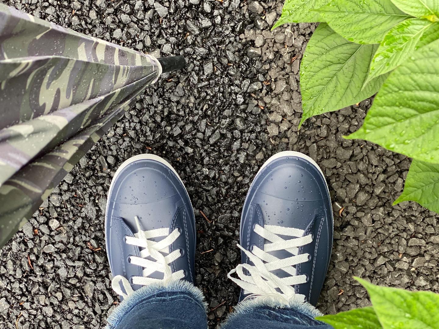 口コミ投稿：#☔️梅雨対策にレインシューズをGETブーツより使いやすくて◎（ヒモに性格が出る）.#ヒ…