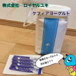 ロイヤルユキさんのケフィアヨーグルトスターターキットを試してみたよ😋ヨーグルトは好きで毎日食べてて普通のヨーグルトメーカーを使ってるんだけどより良いものを✨って事で生きたまま腸に届くケフィアヨーグルト…のInstagram画像
