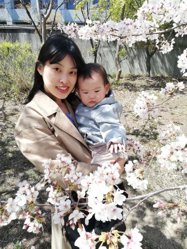 子供と桜との画像（1枚目）