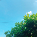 妻としての健康管理ついて。笑笑ちょっと最近思ったことがあるので書きたいと思います。結婚してから半年。特に大きな変化はないけど、なんだか自立心が芽生えてます。笑笑感染拡大中のコロ…のInstagram画像