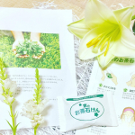宇治田原製茶場 「京のお茶石けん」🍃契約農家さんで栽培され、カテキンの豊富な二番茶のみ使用。茶花エキスも配合されています。熊本阿蘇の湧水に生息する「スイゼンジノリ」「サクラン」の保湿成分で…のInstagram画像
