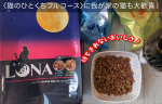 LUNA（ルナ）　*我が家のネコたちの年の差は11歳。最近12歳の先住猫の食が細くなってきたので、おいしいキャットフードは常に探しています。国産のキャットフード「LUNA」は、1袋に〈かつお節…のInstagram画像