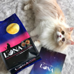 ✩.*･ﾟ.﻿月曜日は、ルナ曜日🐱🌙LUNA(ルナ)かつお節としらす＆ほたて味ビッツ添え 720ｇモニター当選して商品をお試しさせていただきました✨ありがとうございます♡…のInstagram画像