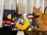 #LUNA #キャットフード #ペットライン #monipla #petline_fanペットライン様より🐱💕キャットフード❣️猫のひとくちフルコース✨LUNA🌙かつおぶし味が…のInstagram画像