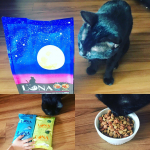 ペットライン株式会社さんのLUNAをお試しさせて頂きました☺︎パッケージもキャットフードとは思えないお洒落さ。新しいご飯だよ〜と呼ぶと興味津々で近寄ってきてくんくん。2つのアソ…のInstagram画像