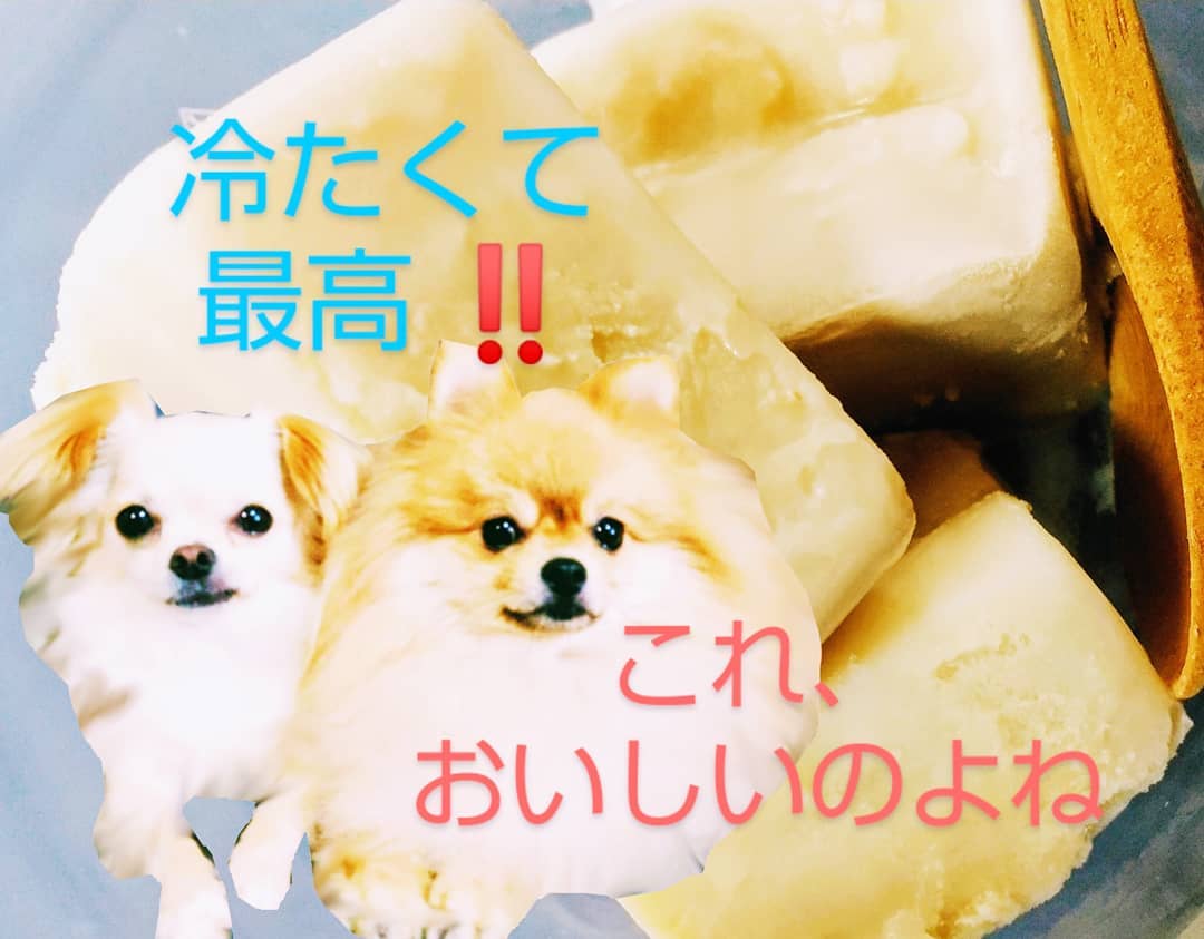 口コミ投稿：和テイストの豆乳❤️あまりの暑さに凍らせてアイスにしてみたよ🎵 今回は黒ごまさつま…