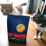 グラデーションがおしゃれなパッケージのキャットフード✨✨おいしく猫さんが頂きました！4種類の味があって飽きず、お値段もお手頃で、また買ってみます！モニプラさん☆当選ありがとうございましたm…のInstagram画像