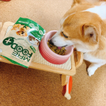 @mre_foodplus 様のモニターに選んでいただきました。沢山のMREプラスが届きました。そのままチュールみたいにあげようとしたら。。。食べない😕でもフードに混ぜてあげたら完食☺️☺…のInstagram画像