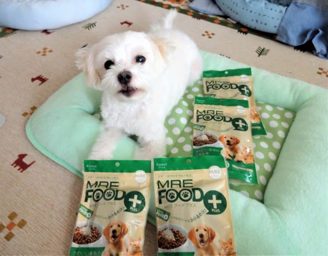 口コミ：愛犬・愛猫用/健康サポート食品 「MREフードプラス」の画像（2枚目）