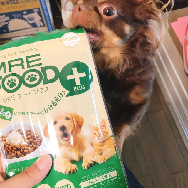 口コミ：愛犬の健康対策の画像（1枚目）