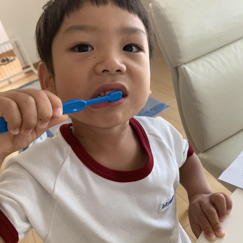 歯磨きは仕方なくやる事が多い息子の画像（1枚目）