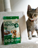 特許取得成分『MRE成分』配合愛犬♥️愛猫用健康サポート食品❇️MREフードプラス継続中～🎶・・ジュレが緩めなので舐めさせると垂らしてしまうので最近は、餌にかけて食べさせています。避妊手…のInstagram画像