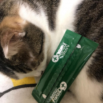 #mreフードプラス 1ヶ月試してみました実家でも猫ちゃん飼ってましたがうちの子は本当にビビリだしご飯もガツガツ食べないのでとても品の良い猫ちゃんかなって思います…のInstagram画像