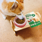 @mre_foodplus 様のモニターをしています。最終報告です😌😌約1ヶ月のモニターさせて頂きました☺️ちょうど冬毛に生え変わり時期でしたがふわふわのツヤツヤした毛並みになりました🐶…のInstagram画像