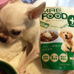 株式会社スターネットから世界３４カ国特許取得成分『MRE成分』配合愛犬・愛猫用/健康サポートジュレ「 MRE FOOD+ 」 (エムアールイー フードプラス) 毎日の食…のInstagram画像