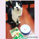 ♪株式会社スターネット様の愛犬・愛猫用/健康サポート食品 MREフードプラス 10g×14本入をお試し中😻我が家のモデル猫は推定15歳のオス猫てんちゃん✨✨MREフードプラス」は、…のInstagram画像