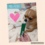 うまうま！#MREフードプラス #MREFOODPLUS #MRE成分 #monipla #starnet_fanのInstagram画像