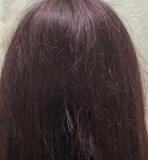 「髪の毛」の画像（1枚目）