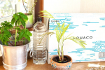 ...【LOHACO限定】LOHACO Water 2L 　　　　ラベルレス 1箱（5本入）硬度19mg/Lと超軟水で天然のミネラルをほど良く含んだまろやかで清…のInstagram画像