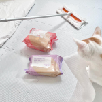 𓍯 起きたらランちゃんがソファーの裏に粗相🚽💦してたので、朝からフローリングワイパーで拭き拭きがんばりましたん..わざとなのか、子猫だから間に合わないのか、たまにあちこちでやっちゃうん…のInstagram画像