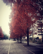 天気良ければもうちょっと良かったのに青空の時もう一度チャレンジします乾燥気をつけます#石の広場#関内#プラソニエ #アクア毛穴クリーン #美顔器 #毛穴 #スキンケア …のInstagram画像