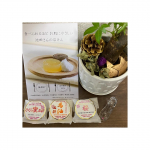 💜みさえレポ💜食べられるほどお肌にやさしい池田さんの石けん🛁今回は、、、、🥁✨「馬油石けん」「ハニーフェイシャルソープ桜」「さくら蜜石けん」各25gこちらの【しっとりセ…のInstagram画像