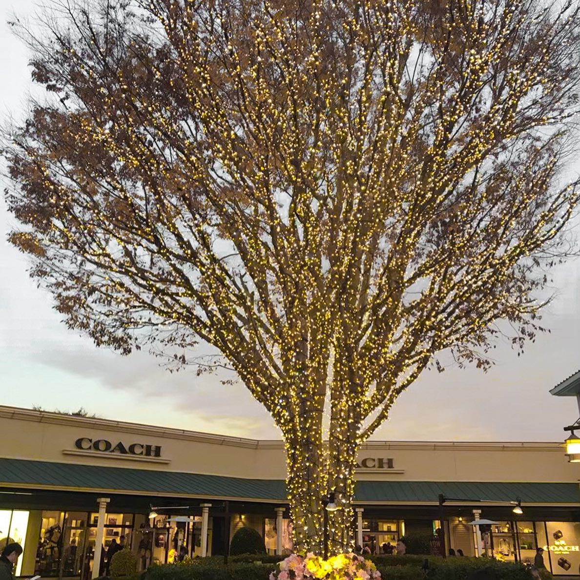 口コミ投稿：.tb✨📍御殿場アウトレット・