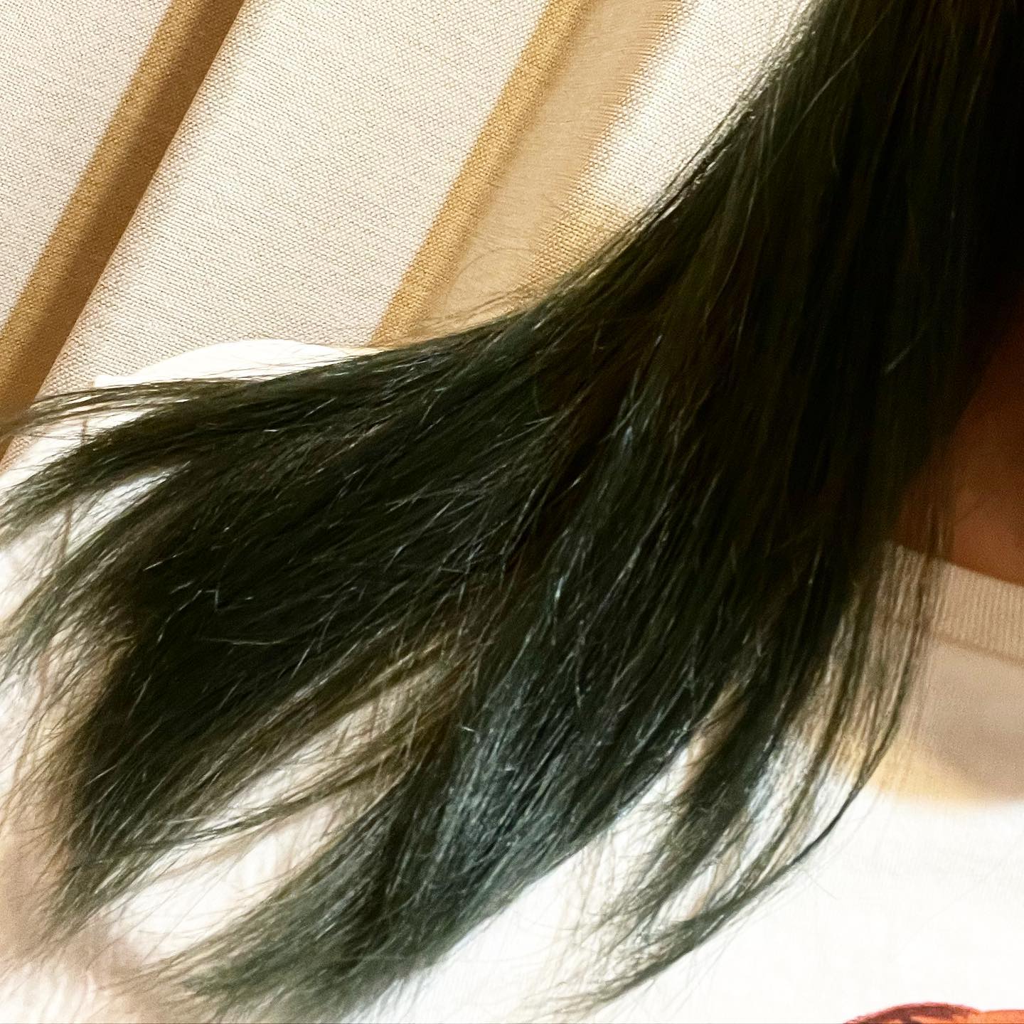 口コミ投稿：新色で試してみたけど、元々が茶髪だから上手く色の発色が出てない笑けど、カーキが…