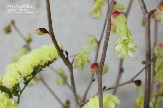 口コミ：【おうちごはん】食卓deお花見 ～ 桜の塩漬けでさくらごはん。の画像（5枚目）